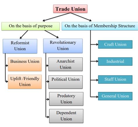 The future of cooperatives and trade unions: the relevance for the .